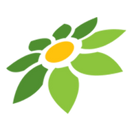 BOKEPOJOL